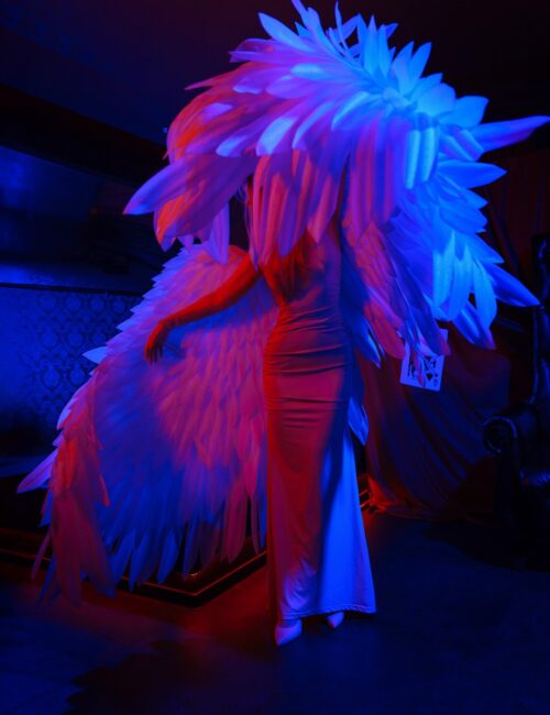 IMG_7778