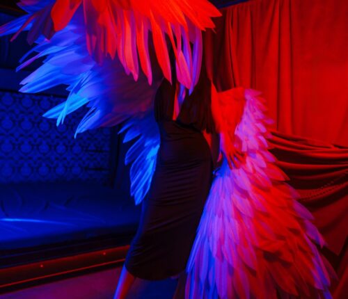IMG_7833
